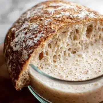 Sourdough Starter