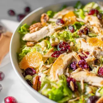 Asian Chicken Cranberry Salad
