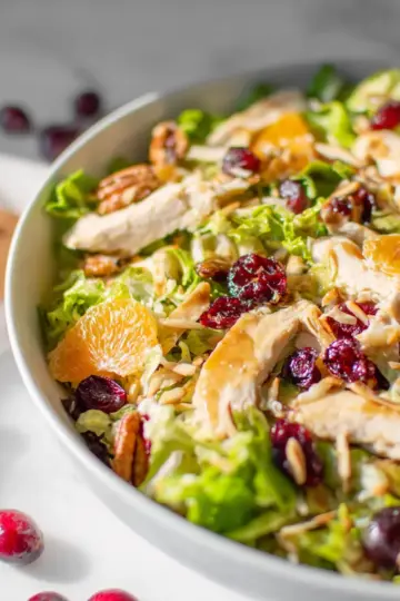 Asian Chicken Cranberry Salad