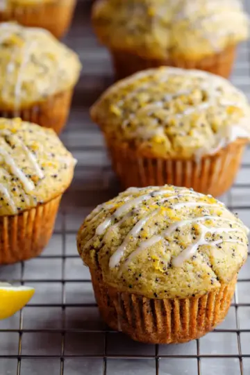 Lemon Poppy Seed Muffins