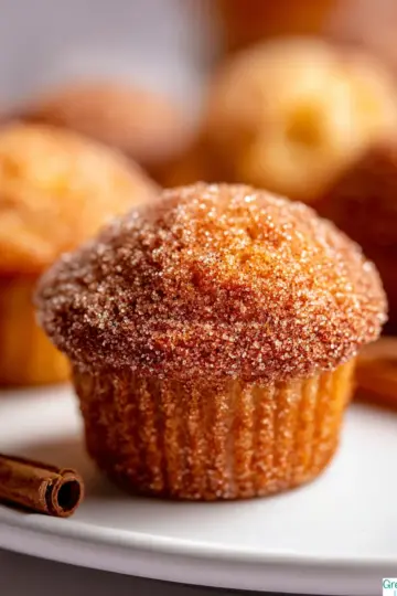 Cinnamon Sugar Donut Muffins