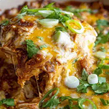 Crock Pot Chicken Enchilada Casserole
