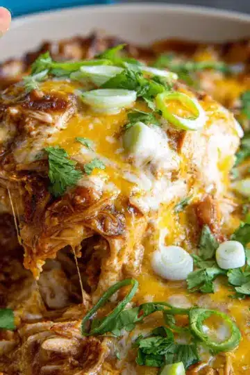 Crock Pot Chicken Enchilada Casserole